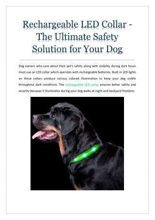 rechargeable led collar the ultimate safety