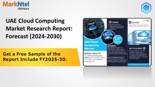 UAE Cloud Computing Market Demand, Drivers and Opportunities 2024-2030
