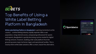 White Label Betting Platform in Bangladesh