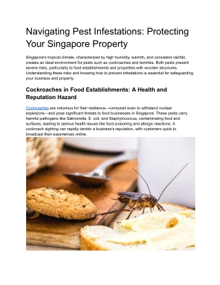 Navigating Pest Infestations_ Protecting Your Singapore Property