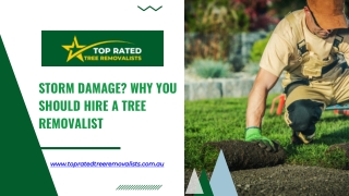 storm damage why you should hire a tree removalist