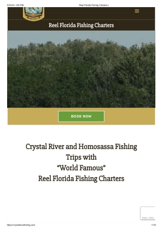 Crystal River Charter Boat