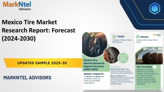 Mexico Tire Market Research Report: Forecast (2024-2030)