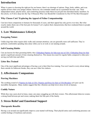Top 10 Reasons Why Cats Should Be Considered As One Of The Best Housepets!