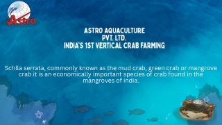 Crab culture