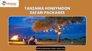 Tanzania Honeymoon Safari Packages