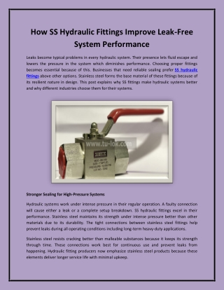 how ss hydraulic fittings improve leak free