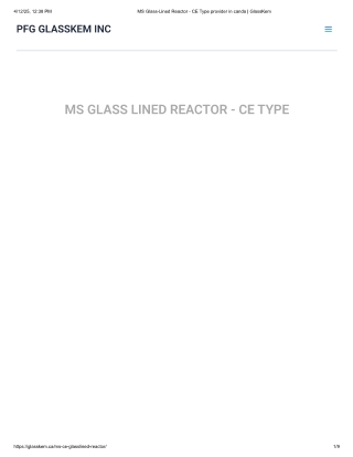 MS Glass-Lined Reactor - CE Type | PFG GlassKem