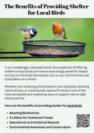 The Benefits of Providing Shelter for Local Birds