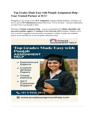 top grades made easy with punjab assignment help