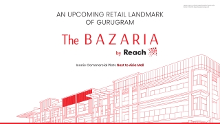 Reach The Bazaria Elite Edge Infra @9999977783