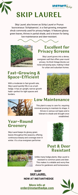 Why Landscapers Love Skip Laurel for All Seasons?