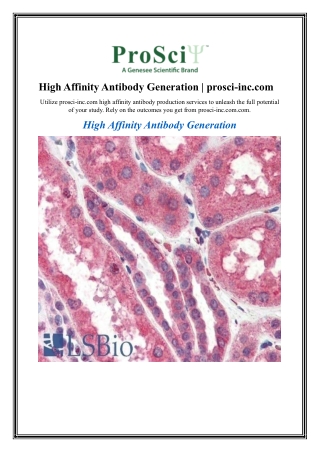 High Affinity Antibody Generation prosci-inc.com