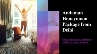 Andaman Honeymoon Package from Delhi