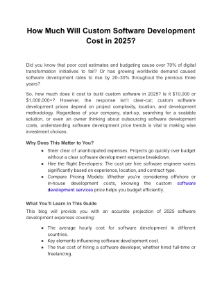 How Much Will Custom Software Development Cost in 2025?