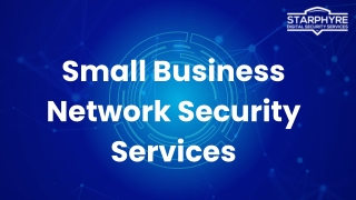 small business network security services