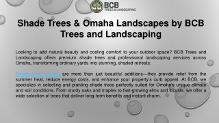 Shade Trees & Omaha Landscapes by BCB Trees and Landscaping