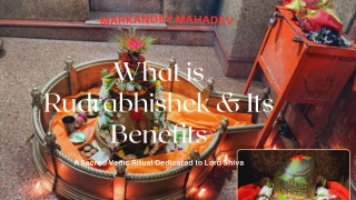“Rudrabhishek: The Sacred Vedic Ritual to Invoke Lord Shiva's Blessings”
