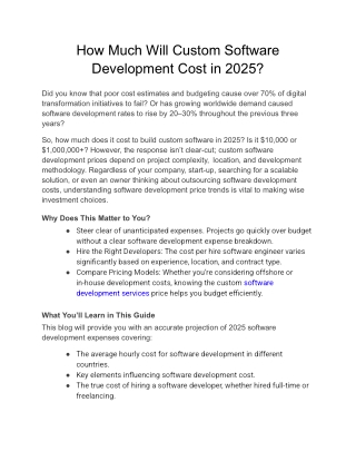how much will custom software development cost