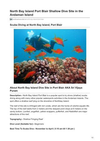 Explore Beginners Scuba Diving at North Bay Island, Port Blair