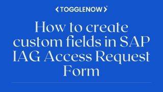 how to create custom fields in sap iag access