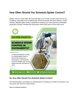 How Often Should You Schedule Spider Control