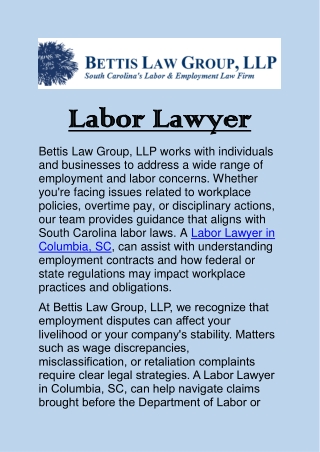 Labor Lawyer in Columbia, SC: Your Ally in Labor and Employment Matters