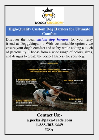 High-Quality Custom Dog Harness for Ultimate Comfort