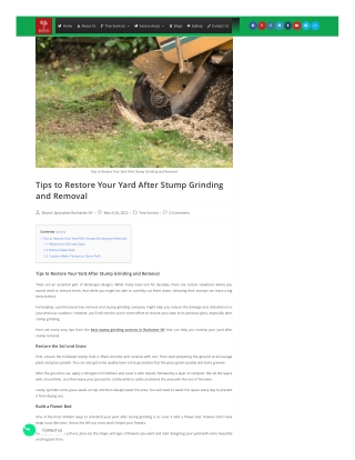 Tips to Restore Your Yard After Stump Grinding and Removal