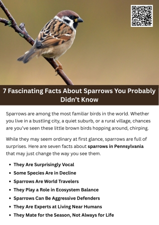 7 Fascinating Facts About Sparrows You Probably Didn’t Know