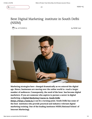 Best Digital Marketing institute in South Delhi (NSIM)