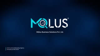 mqlus business solutions pvt ltd
