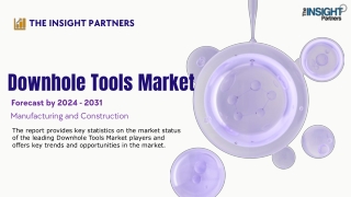 Downhole Tools Market