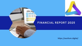 financial report 2025