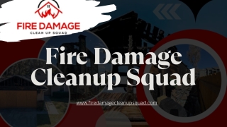 www firedamagecleanupsquad com