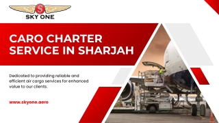 Skyone Offers the Best Air Cargo Sharjah Solutions