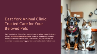 Premier Animal Clinic in Toronto | Expert-Led Vet Clinics in Toronto