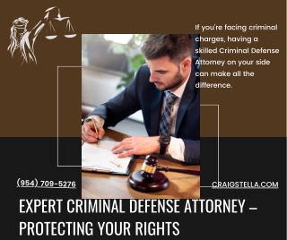 Criminal Defense Attorney