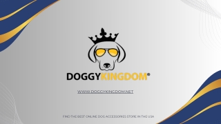 Find the Best Online Dog Accessories Store in the USA