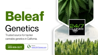 beleaf