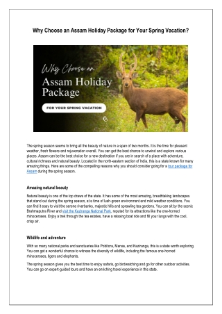 Why Choose an Assam Holiday Package for Your Spring Vacation?