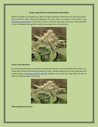 Things to Note When You Buy Marijuana Seeds Online