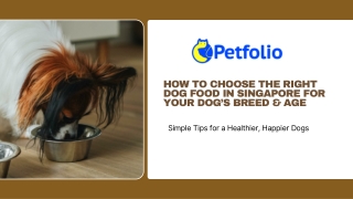 How to Choose the Right Dog Food in Singapore for Your Dog’s Breed & Age