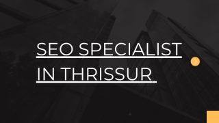 SEO Specialist in Thrissur