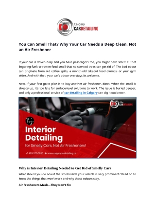 You Can Smell That? Why Your Car Needs a Deep Clean, Not an Air Freshener