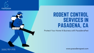 Expert Rodent Control in Pasadena, CA | PasadenaPest
