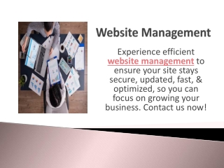 experience efficient website management to ensure