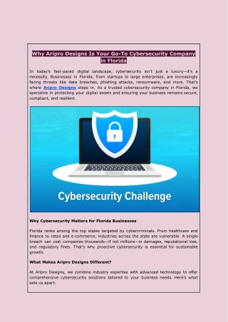 Top Cybersecurity Company in Florida – Aripro Designs