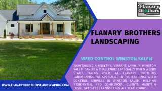 Expert Weed Control in Winston Salem Flanary Brothers Landscaping Keeps Your Lawn Healthy