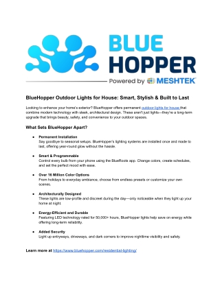 BlueHopper Outdoor Lights for House